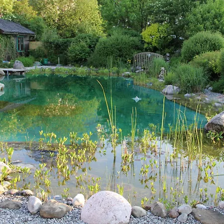 Hotel Goldener Stern 4*